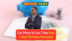 Highest FD Rates in 2025: These Banks Offer Best Returns for 1-Year Investment