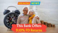 Discover Which Bank Offers the Highest 1-Year FD Interest Rates – Check Before You Invest!