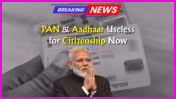 Aadhaar and PAN Fall Short: Discover the Only 2 Documents Now Valid for Citizenship Proof