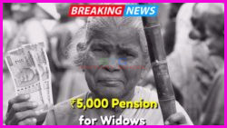 Widow Pension 2025: Discover How to Secure ₹5,000 Monthly from the Govt